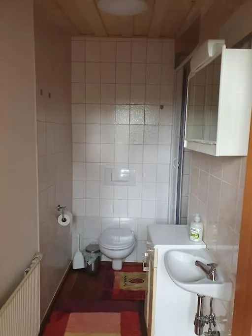 Apartment Ferienwohnung Monteurswohnung Fuer 1 Bis 8 Personen Diebach
